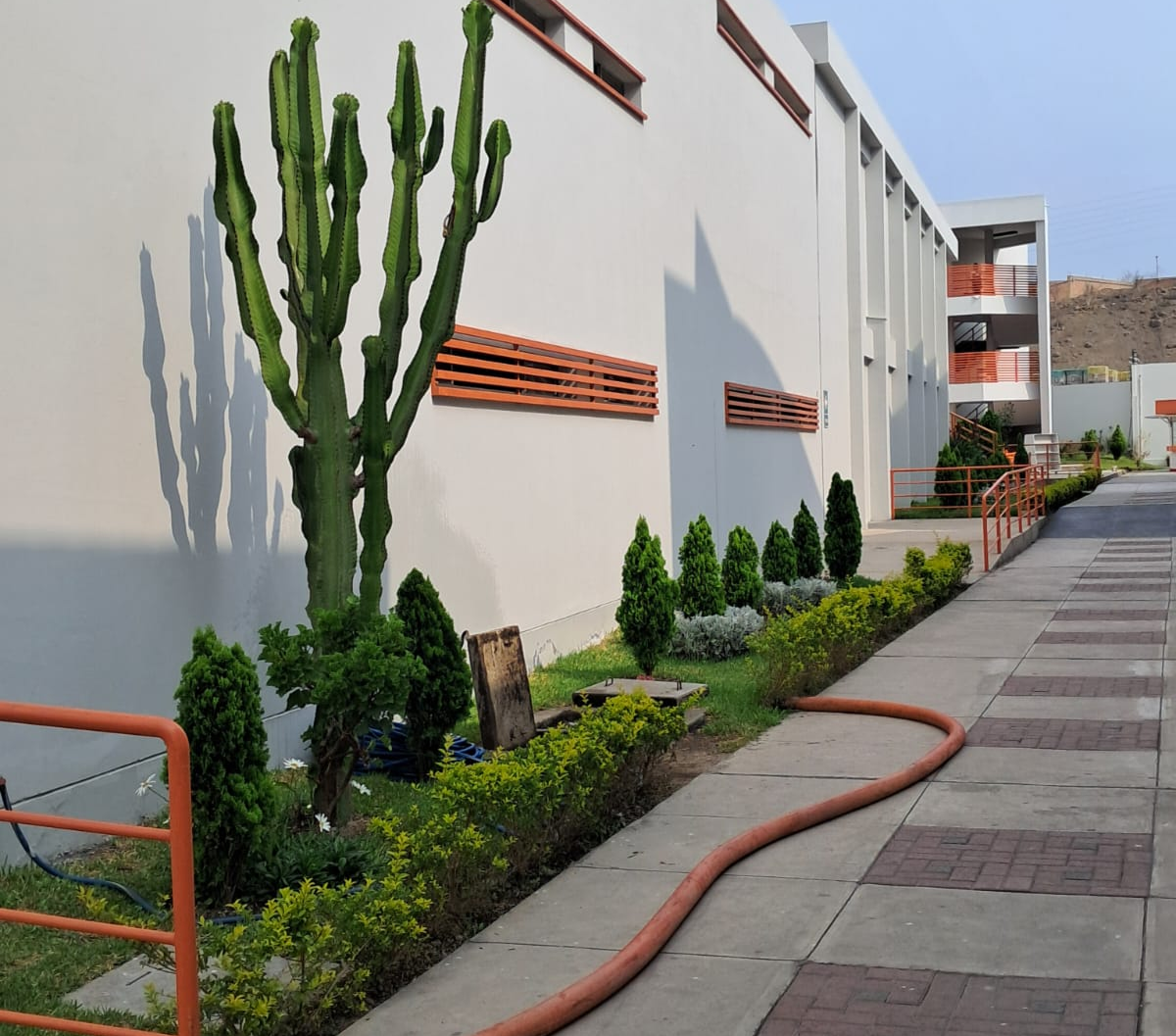 SUCCION Y LIMPIEZA TRAMPA DE GRASA (8) 1